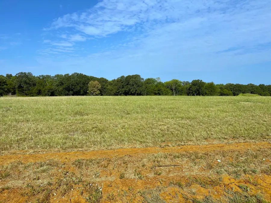 Lot 17C Windrose Loop, Gordonville, TX 76245 - #3