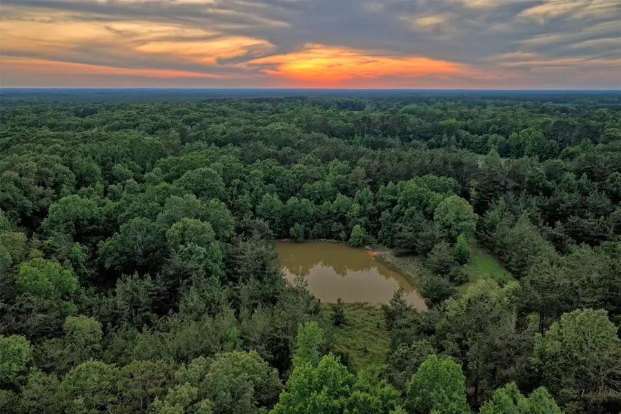 00 County Road 448, Carthage, TX 75633 - #3