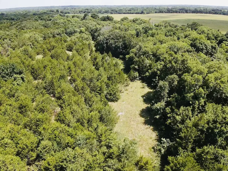 000 Cr 27300, Roxton, TX 75477 - #3