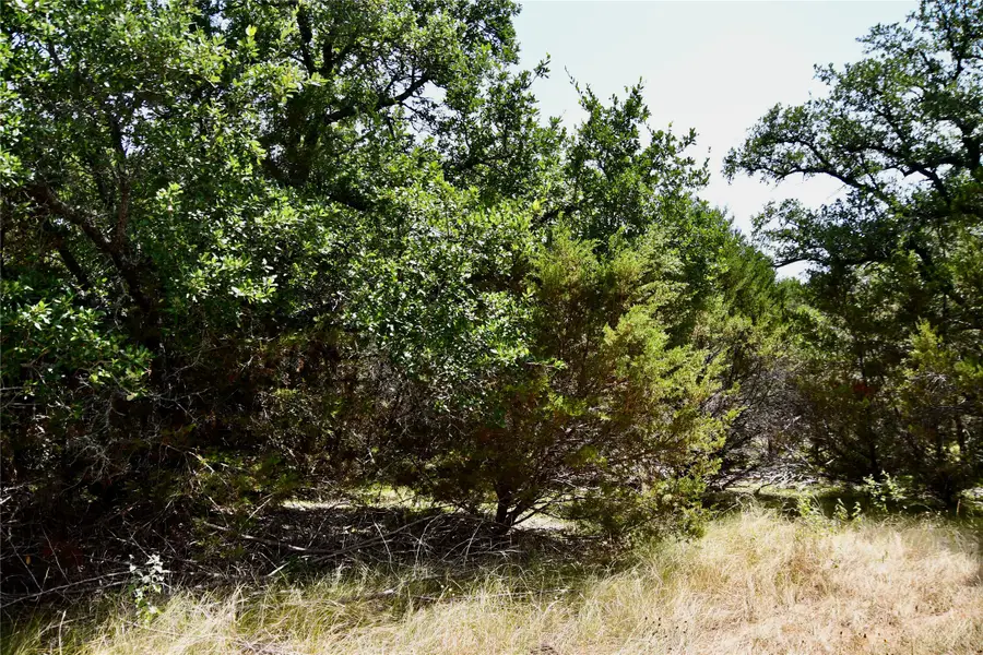 TBD Cr 3340, Kempner, TX 76539 - #3