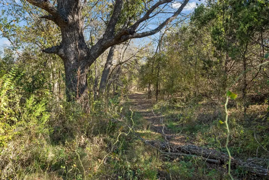 10723 County Road 539, Hico, TX 76457 - #2