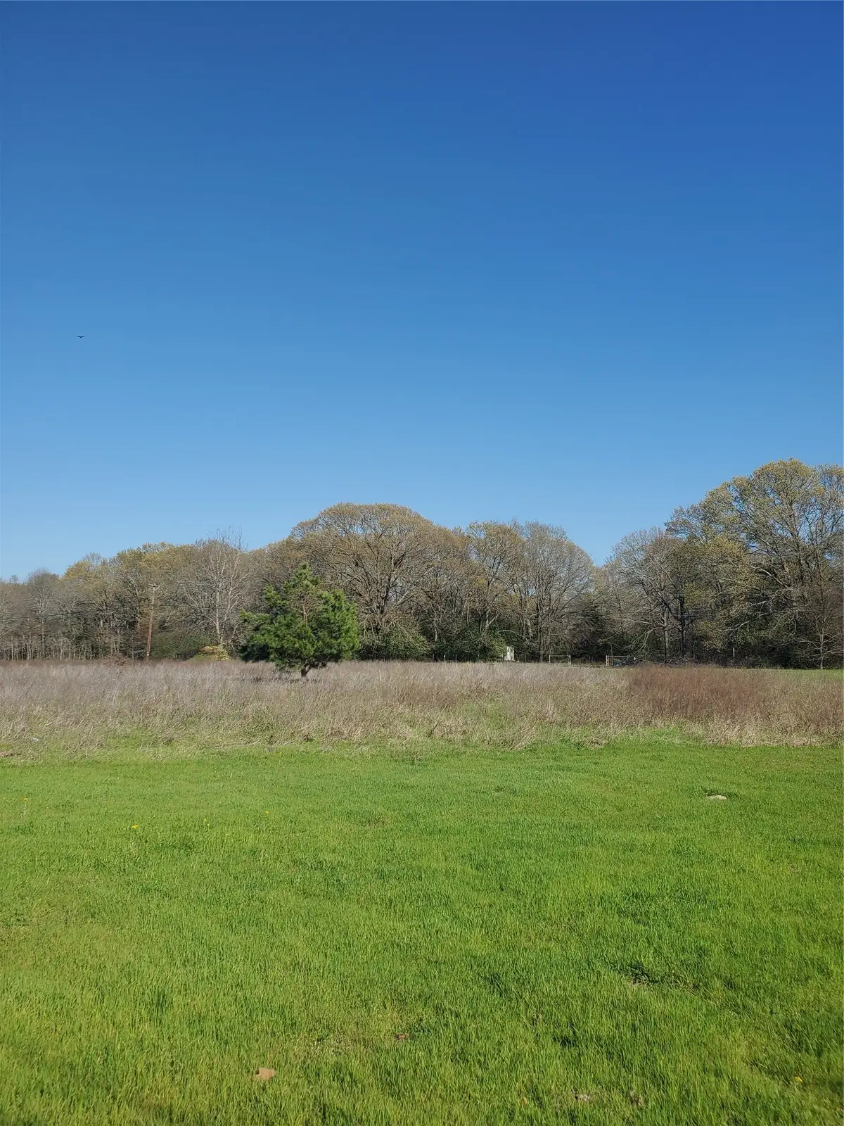 0 Bayshore Drive, Athens, TX 75752 - #1