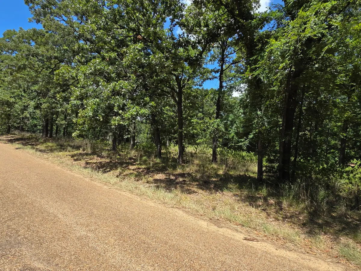 00 Hickory Lot 89 Street, Mabank, TX 75156 - #1