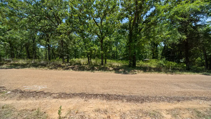 00 Hickory Street #Lot 89, Mabank, TX 75156 - #3