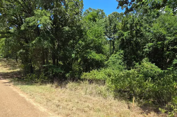 0 Hickory Street #Lot 90, Mabank, TX 75156