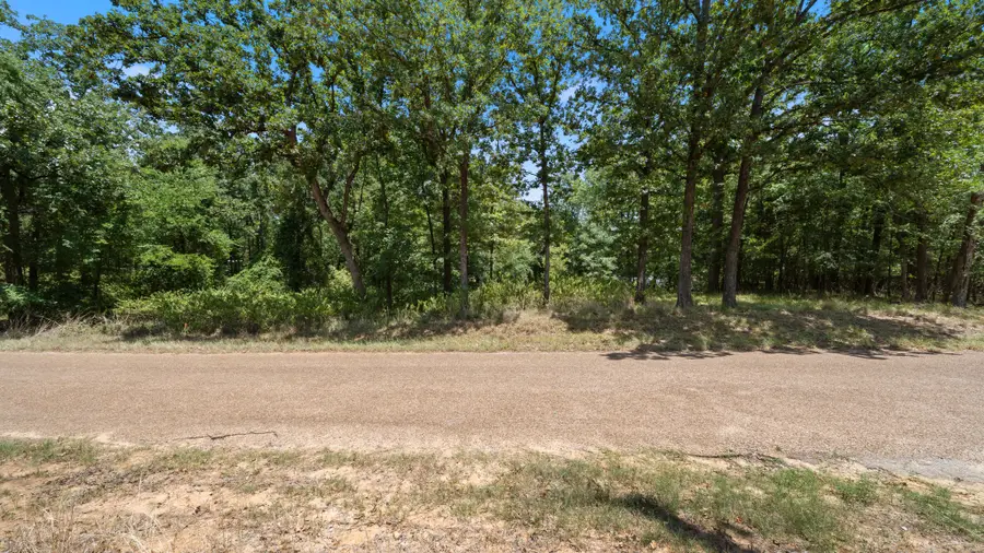 0 Hickory Street #Lot 91, Mabank, TX 75156 - #3