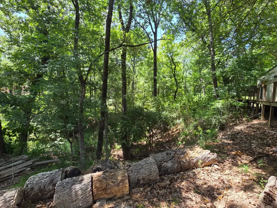 2205 Hickory Street, Mabank, TX 75156 - #3