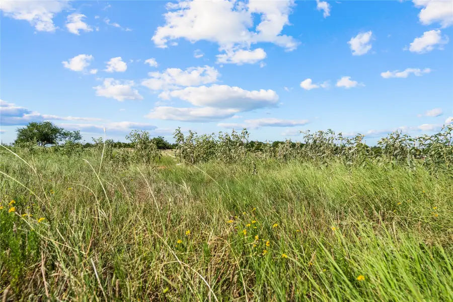 Lot 3 Lakewood Drive, Whitney, TX 76692 - #3