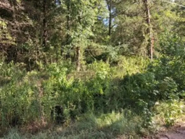 000 Dogwood Drive, Murchison, TX 75778