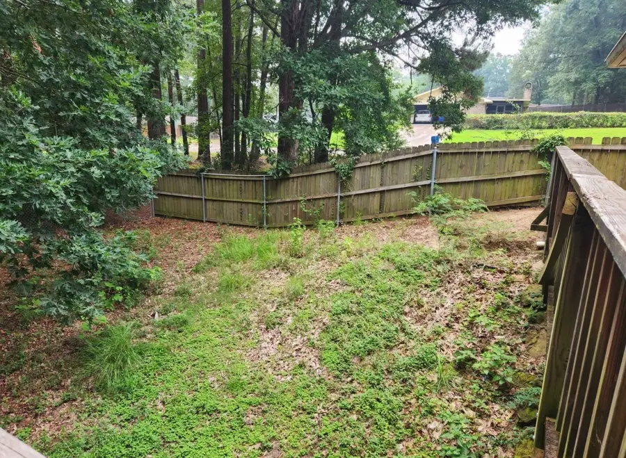 909 Hinton Street, Minden, LA 71055 - #3