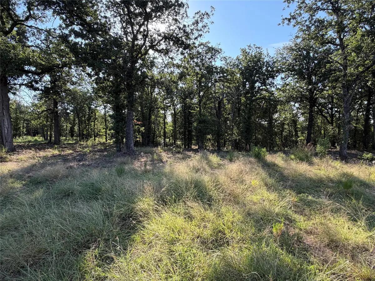 tbd Fm 56, Morgan, TX 76671 - #1