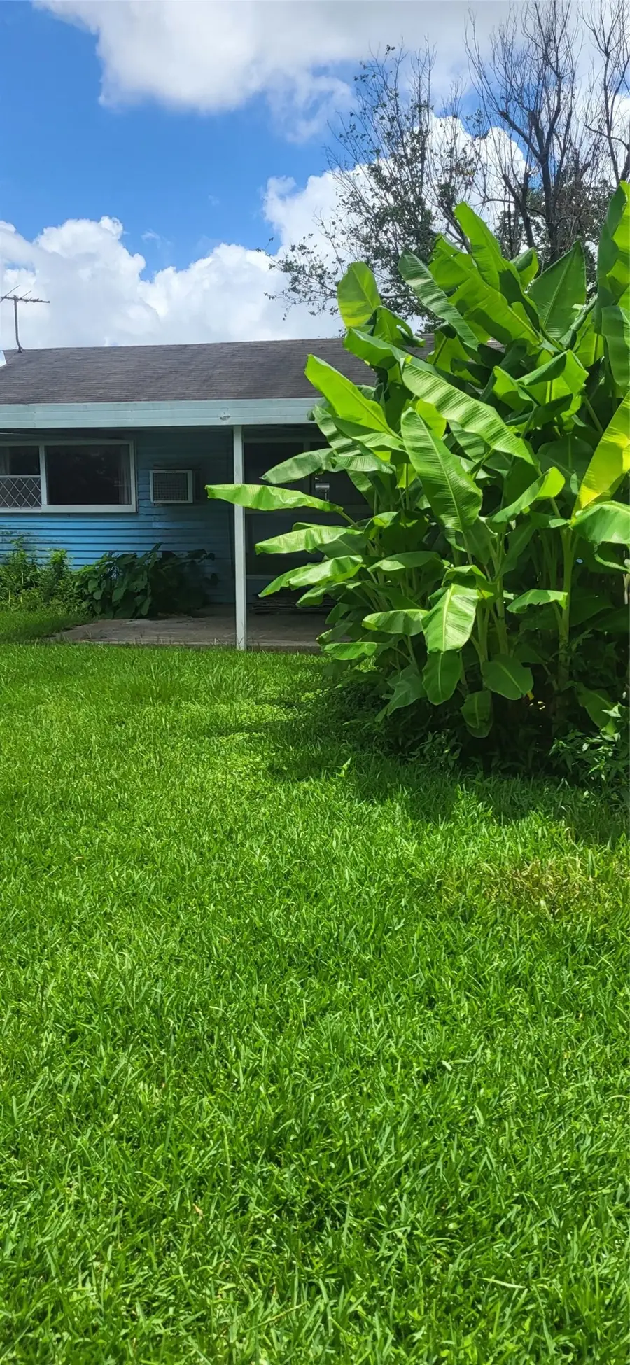 915 Pauline Avenue, Pasadena, TX 77502 - #3