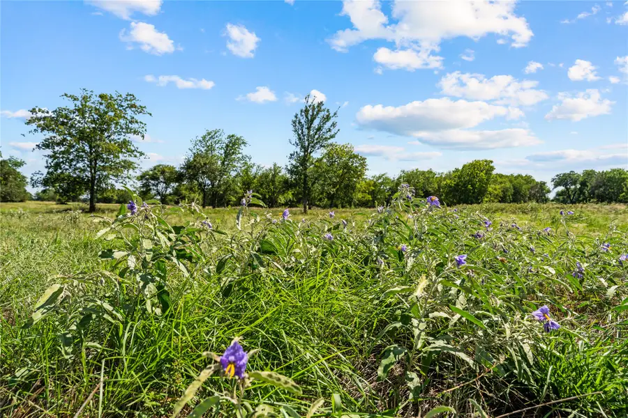 Lot 17 Lakewood Drive, Whitney, TX 76692 - #2