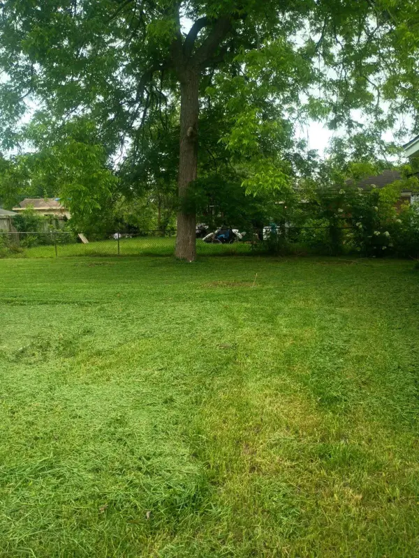 4602 Farmer Street, Houston, TX 77020