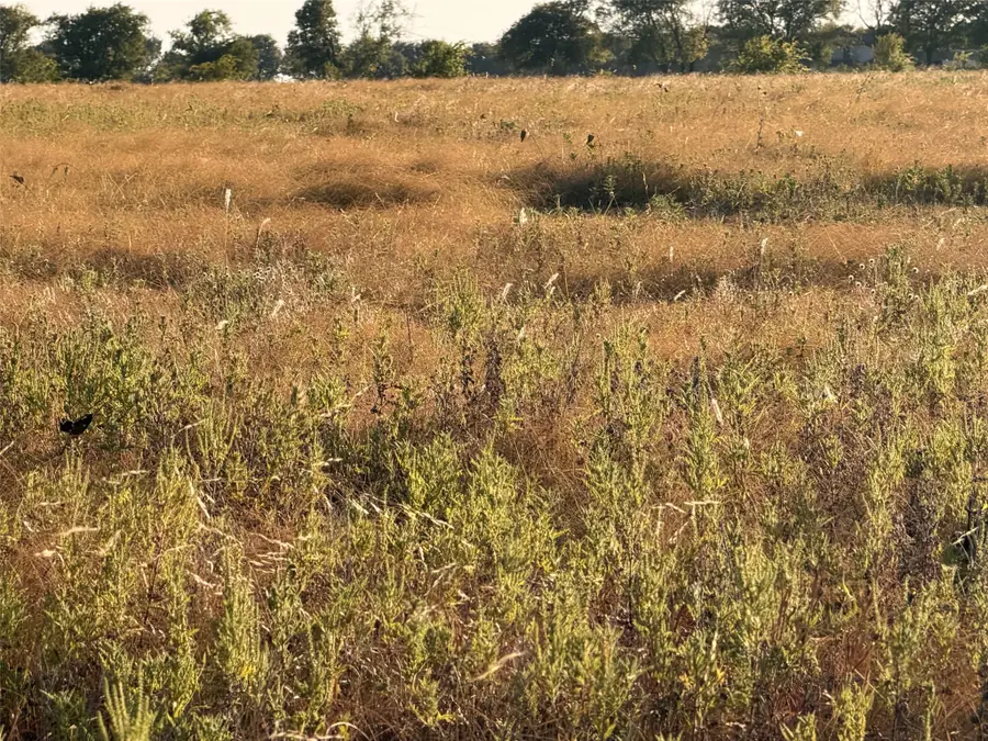 TBD N Hickory Rd, Krum, TX 76249 - #3