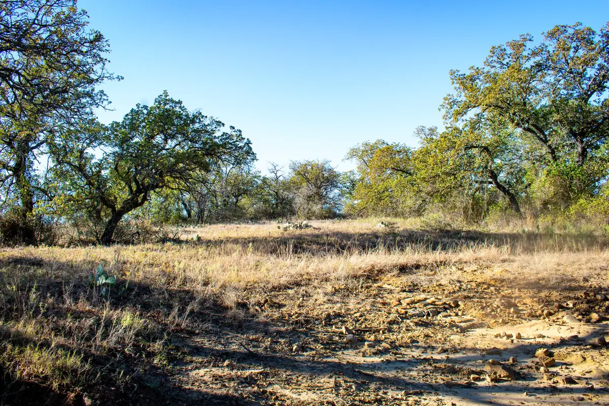 TBD Fm 45, San Saba, TX 76877 - #1