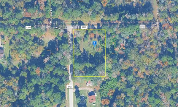 25 County Road 3709 #25, No City, TX 77372