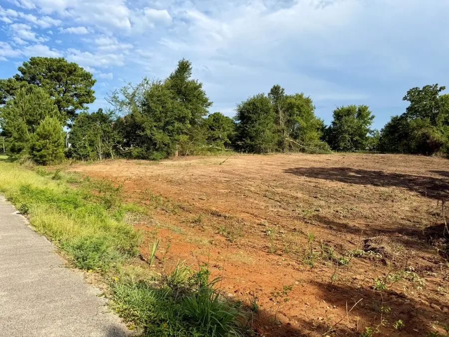 13358 Nance Lane, Lindale, TX 75771 - #3