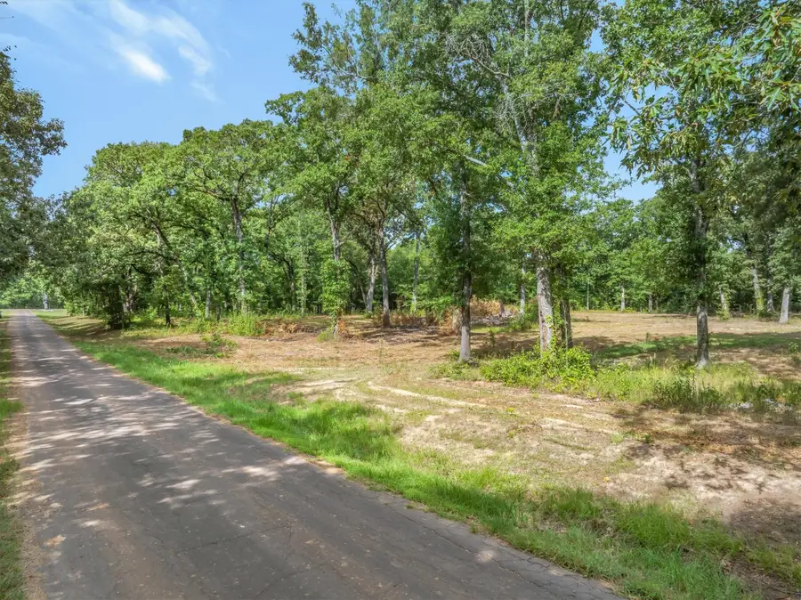 TBD County Road 2880, Mineola, TX 75773 - #2