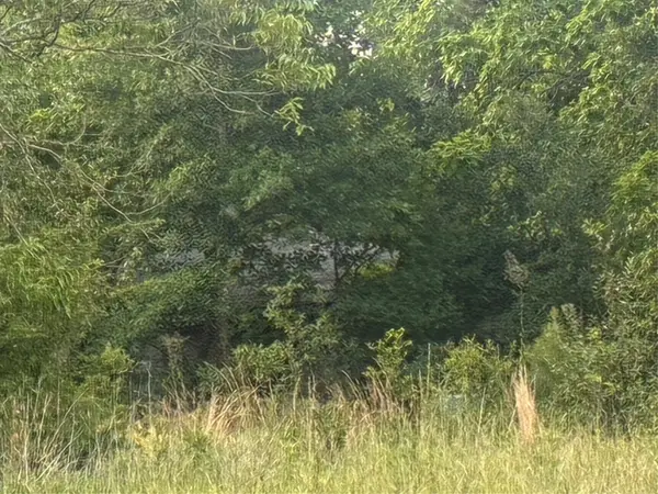910 Vzcr 3119 Road, Edgewood, TX 75117