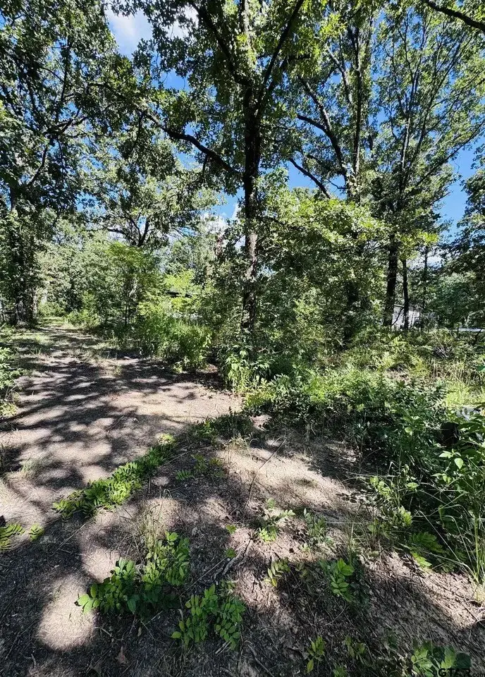 903 Vz County Road 1524, Grand Saline, TX 75140 - #1