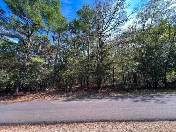 Lot 49 Angelina Dr, Mount Vernon, TX 75457