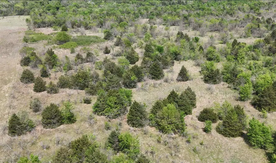 TBD Fcr 980, Mexia, TX 76667 - #2
