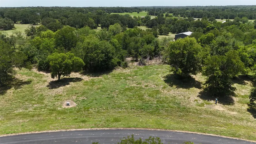 Lot 118 Sterling Drive, Streetman, TX 75859 - #3