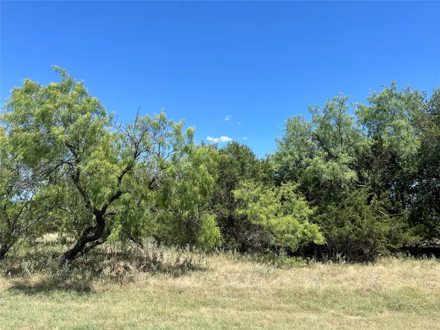 42143 Glen Eagles Drive, Whitney, TX 76692 - #3