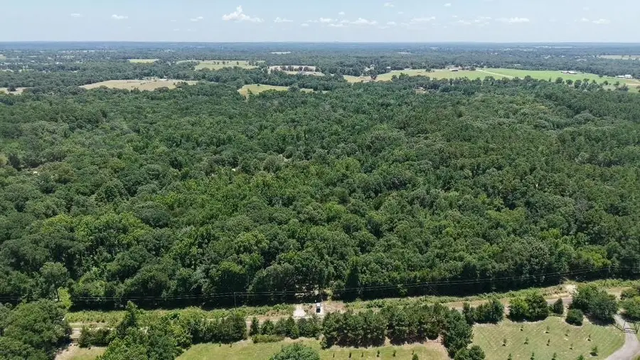 1595 County Road 4112, Canton, TX 75103 - #2