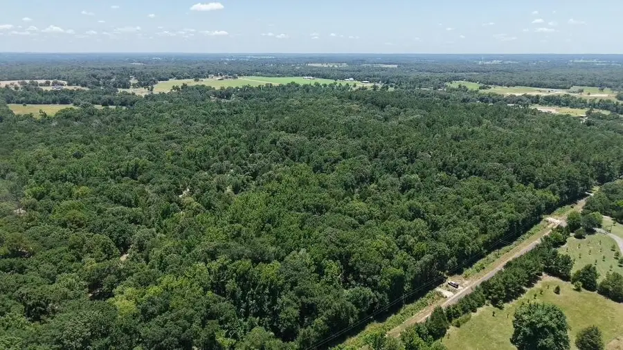1595 County Road 4112, Canton, TX 75103 - #3