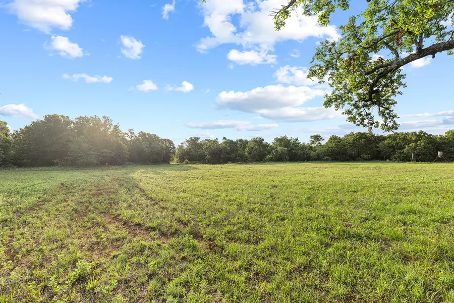 10371 State Hwy 148, Jacksboro, TX 76458 - #3