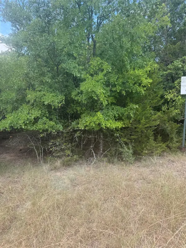 3821 Birdsong Court, Granbury, TX 76049