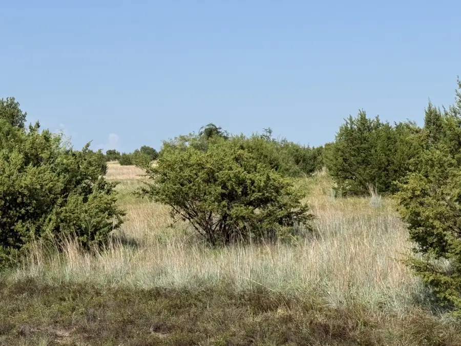 706 Rory Crossing, Lipan, TX 76462 - #3