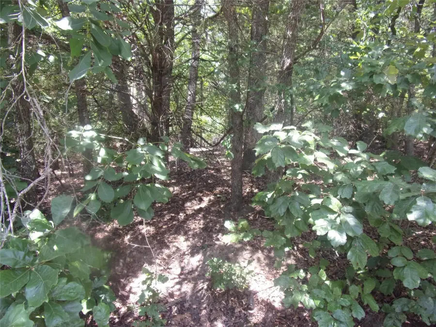 0000 Wildwood, Murchison, TX 75778 - #2