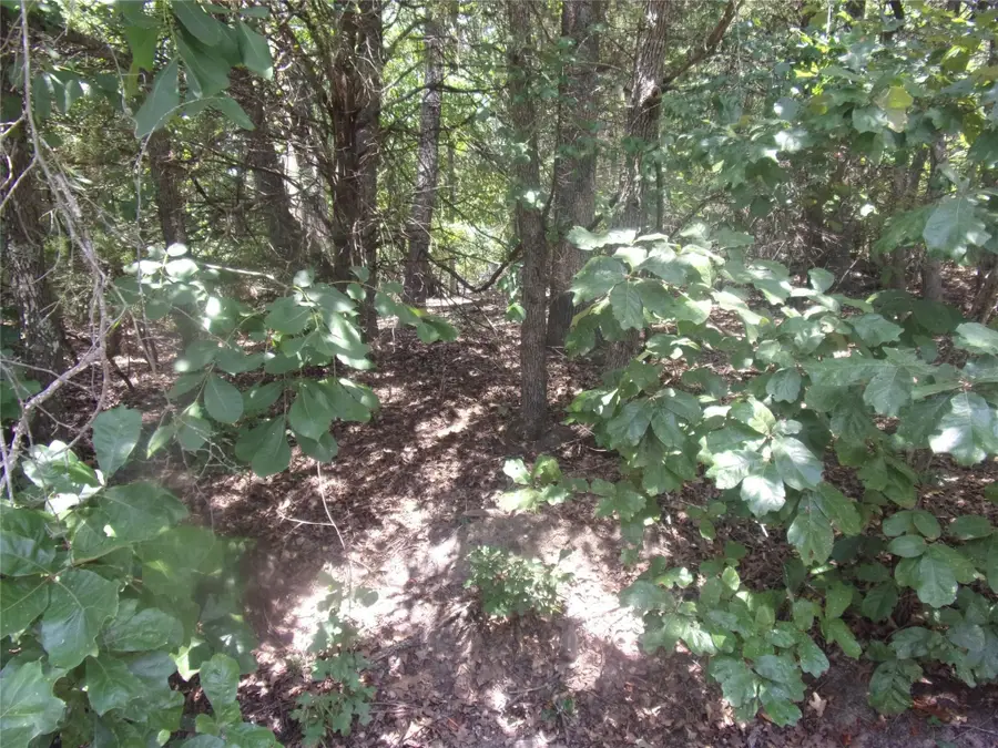 0000 Wildwood, Murchison, TX 75778 - #3