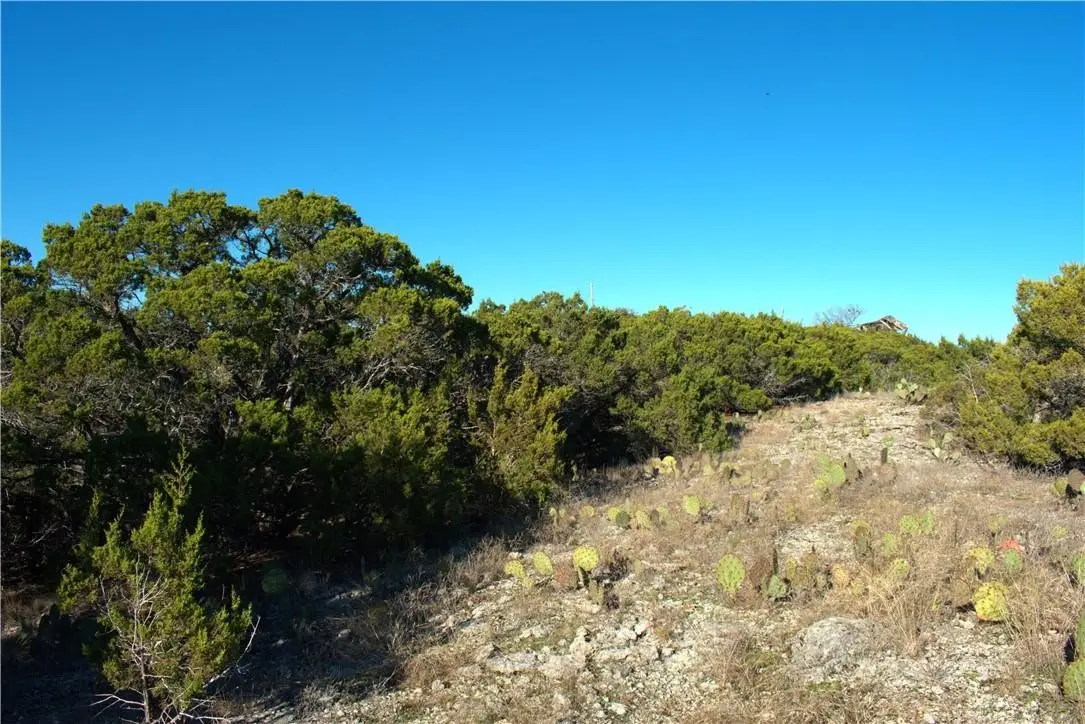 405 Public Road 1212, Kopperl, TX 76652 - #1