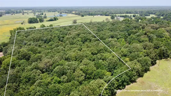 Tract 6 Cr 44400, Powderly, TX 75473