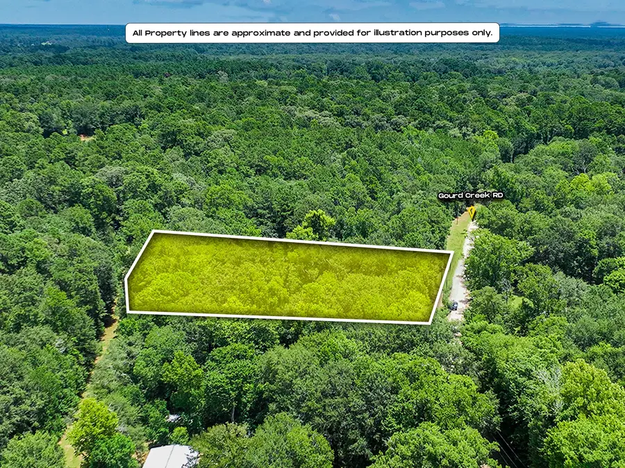 105 Gourd Creek Drive, Huntsville, TX 77340 - #2