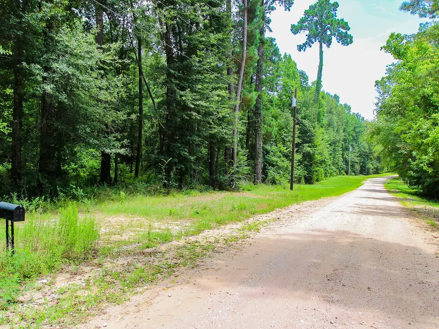 105 Gourd Creek Drive, Huntsville, TX 77340 - #3