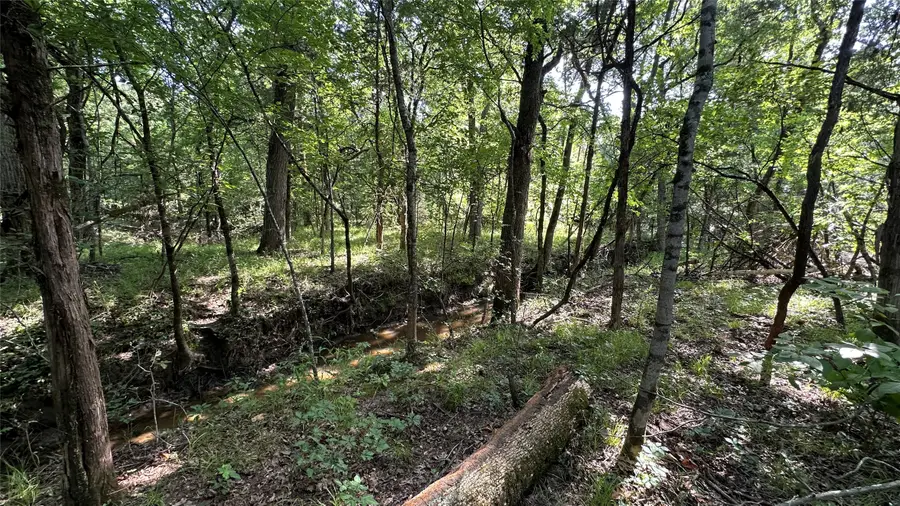 000 E Farm Road 71, Dike, TX 75437 - #3