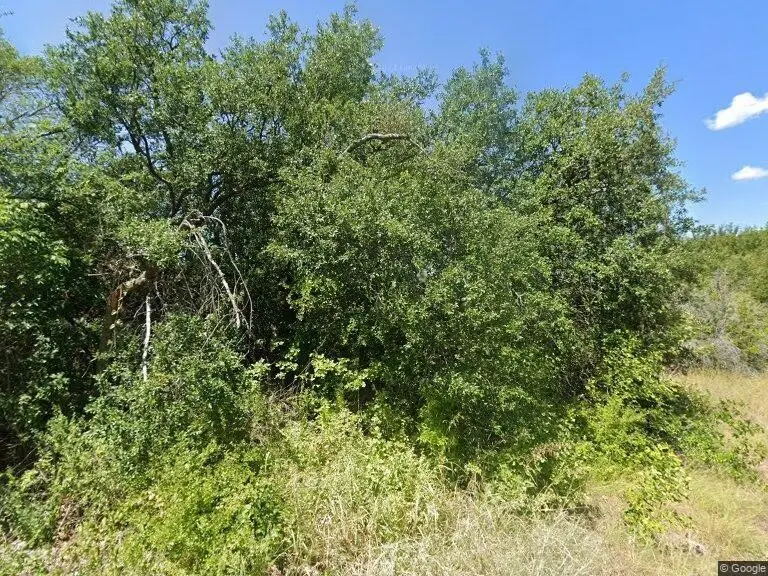 4608 Evening View Drive, Granbury, TX 76048 - #2