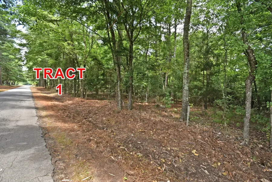 Tract 1 County Road 3117, Clarksville, TX 75426 - #2
