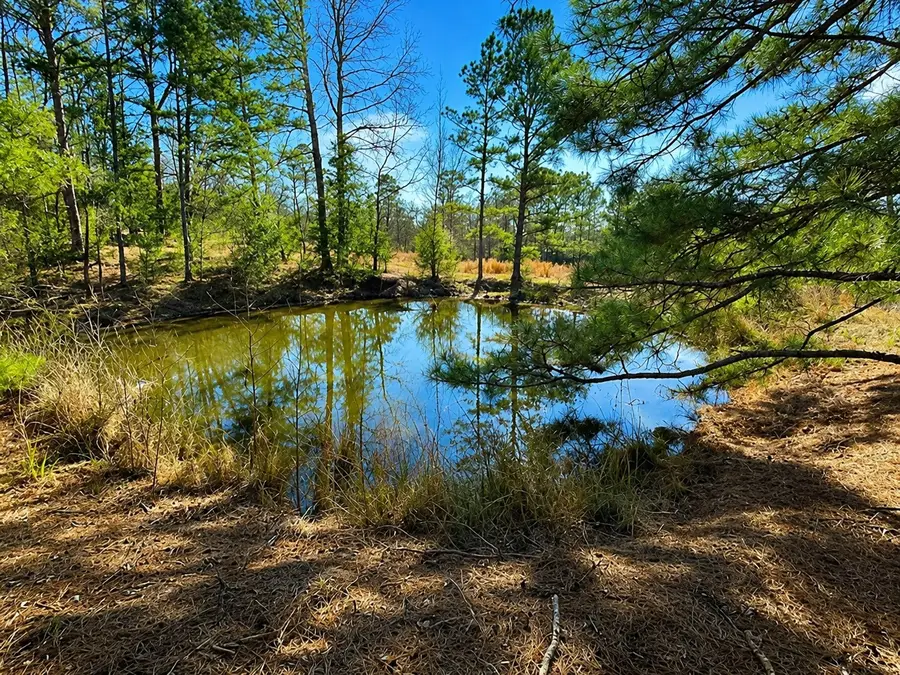 562 Cr 4430, Winnsboro, TX 75494 - #2