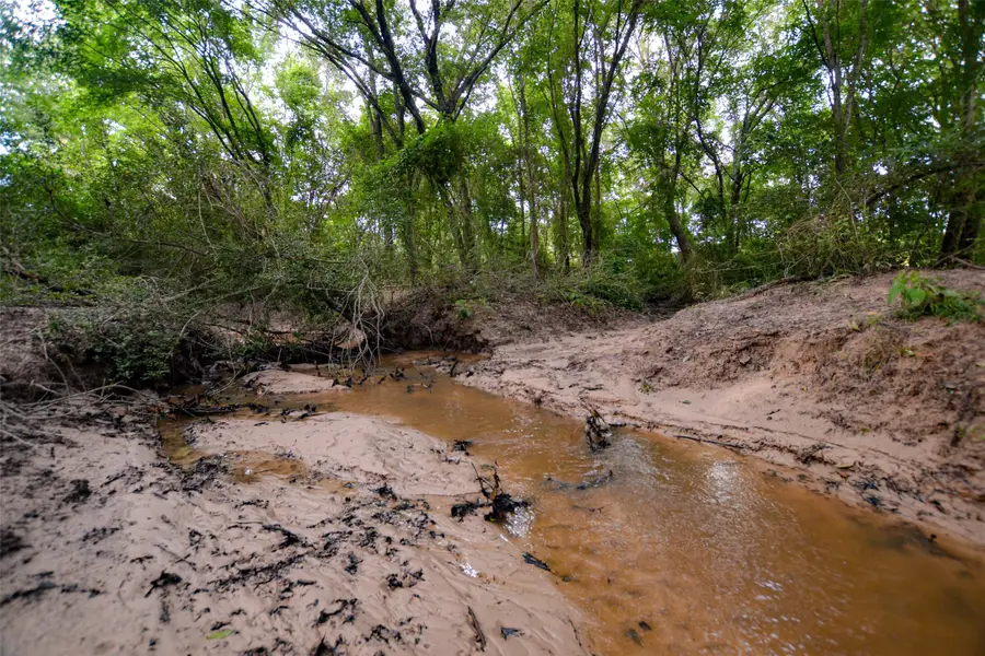8690 County Road 1119, Athens, TX 75751 - #3