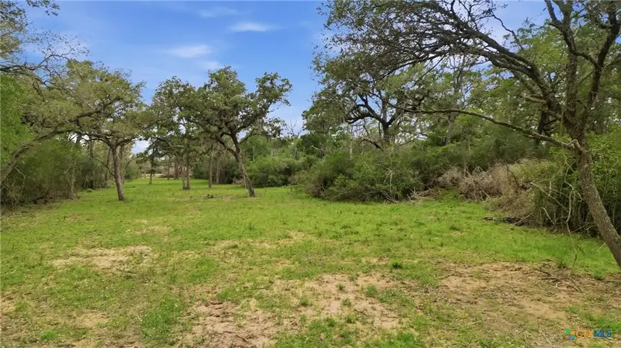 TBD Fm 530, Hallettsville, TX 77964 - #3