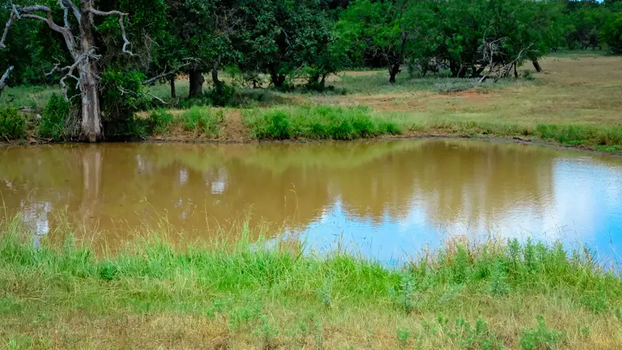 1922 Loving Road, Jermyn, TX 76459 - #3