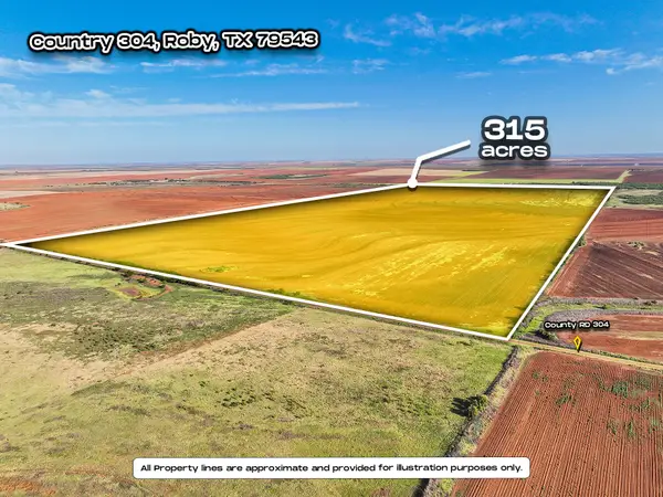 APN 3166 Country Road 304, Roby, TX 79543