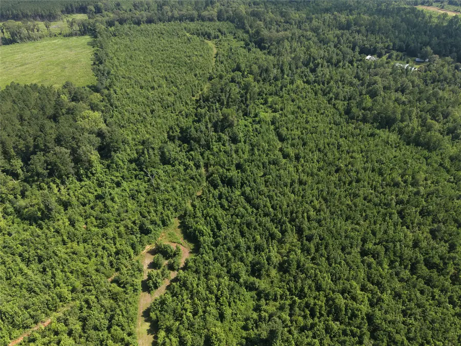 0000 County Road 2339, Marietta, TX 75566 - #3
