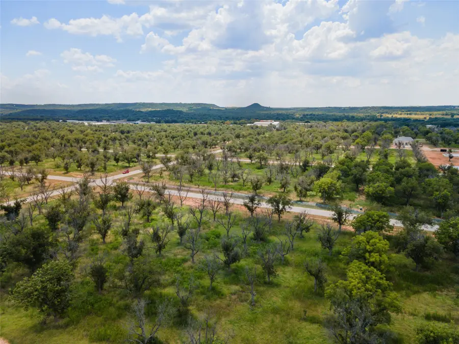 1336 Cirrus Loop, Granbury, TX 76049 - #3